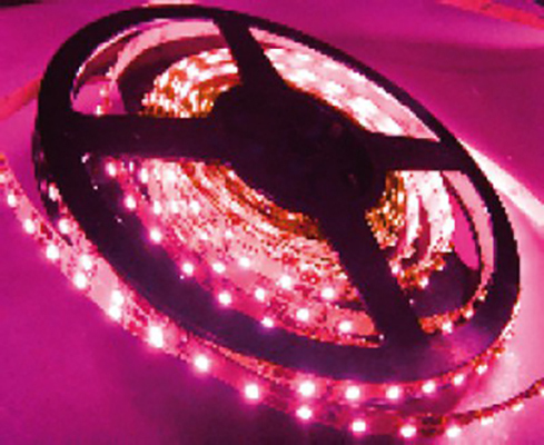Rollo_5Mtrs_LEDS_4df333d75dd9d